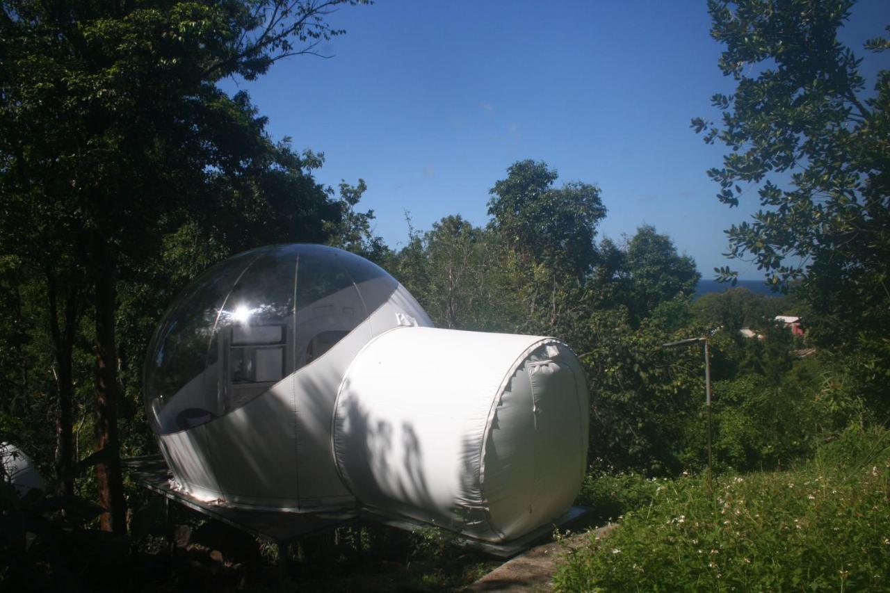 Maisons Bulles Deluxe Ξενοδοχείο Bouillante Εξωτερικό φωτογραφία