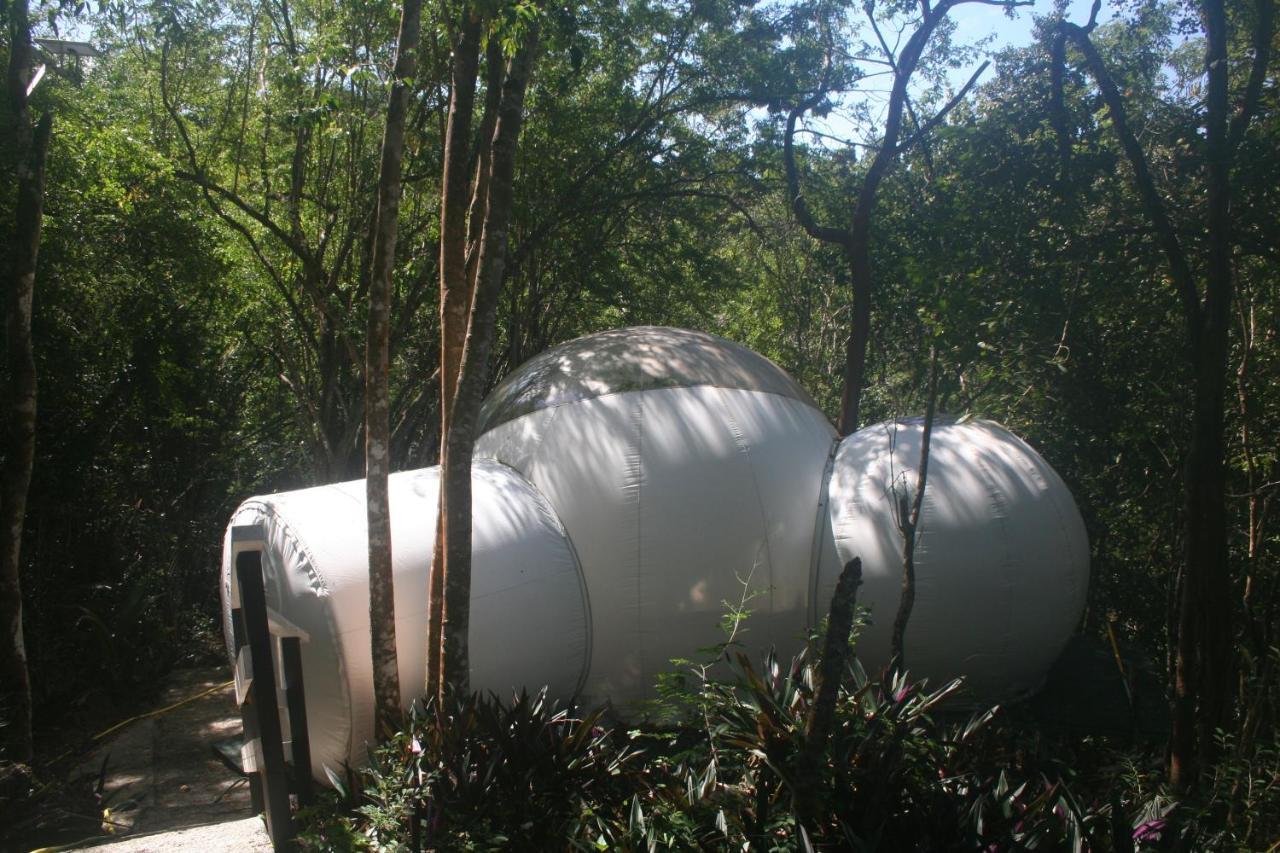Maisons Bulles Deluxe Ξενοδοχείο Bouillante Εξωτερικό φωτογραφία